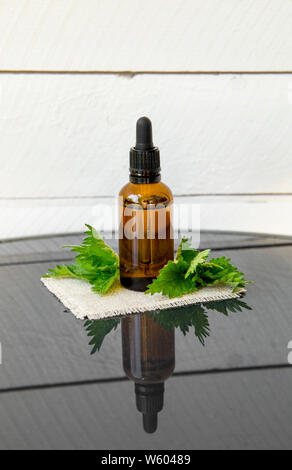 Huile essentielle d'ortie ou l'infusion en bouteille pipette médicale brun avec des branches d'orties conseil en arrière-plan. Banque D'Images