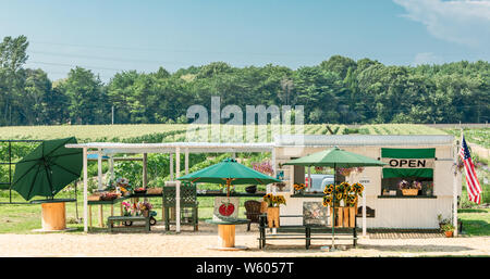 Ferme Stand dans East Hampton, NY Banque D'Images