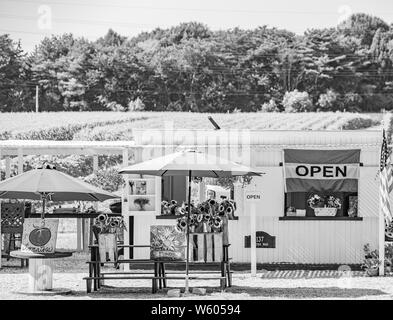 Ferme Stand dans East Hampton, NY Banque D'Images