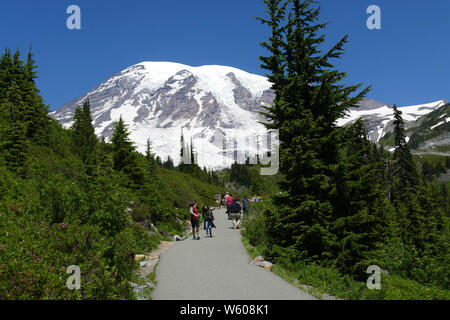 Randonneurs sur le sentier au-dessus du paradis avec la montagne en arrière-plan, le Mont Rainier National Park, Washington Banque D'Images