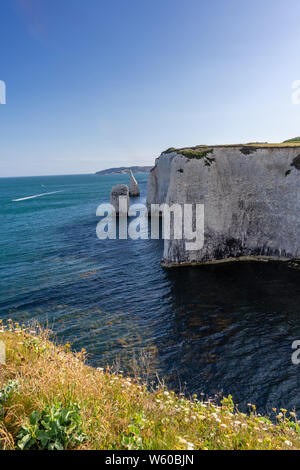 Les Pinnacles pile de roches calcaires sur Ballard bas sur l'île de Purbeck en été, Dorset, England, UK Banque D'Images