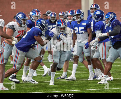 East Rutherford, New Jersey, USA. 30 juillet, 2019. New York Giants running back Rod Smith (45) au cours de camp d'entraînement à l'Quest Diagnostics Training Centre à East Rutherford, New Jersey. Duncan Williams/CSM/Alamy Live News Banque D'Images