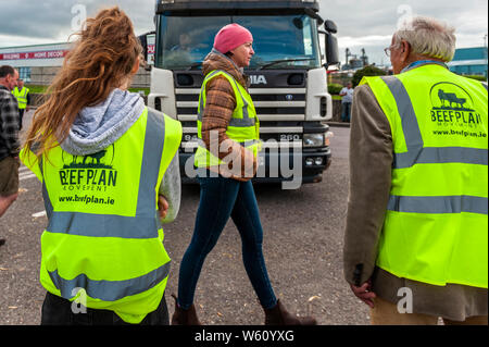 Bandon, West Cork, Irlande. 30 juillet 2019. Les agriculteurs de West Cork en colère continuent aujourd'hui de protester devant les portes d'ABP Foods, la maison d'abattage de Bandon. Les agriculteurs protestent contre les prix médiocres donnés par ABP Foods. Crédit : AG News/Alay Live News. Banque D'Images