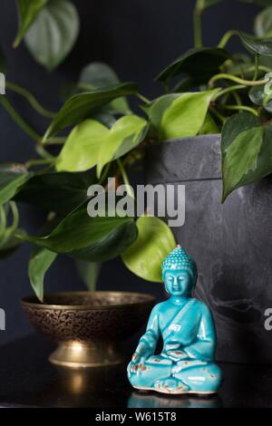 Une figurine de Bouddha à côté d'un philodendron 'Brasil' plante. Banque D'Images