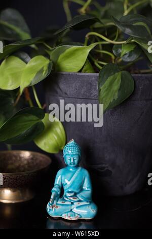 Une figurine de Bouddha à côté d'un philodendron 'Brasil' plante. Banque D'Images