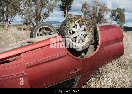 L'herbe coincé dans la jante de roue d'une voiture s'est écrasé dans les régions rurales de l'Australie. Banque D'Images