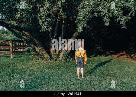 Peu preschool Caucasian boy in chemise jaune avec filet à papillons marcher seul dans la forêt horrible horrible avec de grands arbres au coucher du soleil. Vue de l'arrière Banque D'Images