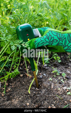 Sol nutriments mètre. Mesurer la teneur en azote du sol avec dispositif numérique. Agricultrice dans un jardin. Concept pour la nouvelle technologie dans l'agriculture. Banque D'Images