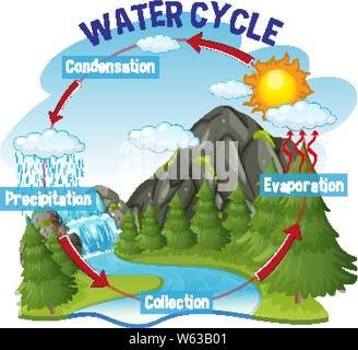 Processus du cycle de l'eau sur Terre - illustration scientifique Illustration de Vecteur