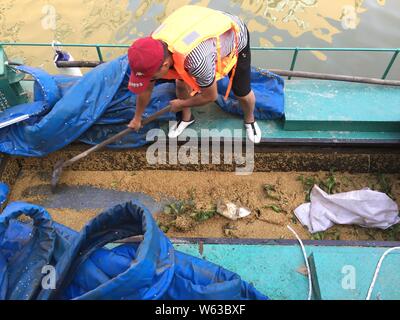 Un travailleur chinois utilise un bateau équipé d'un nouveau dispositif de collecte des déchets dans une rivière en Xujiazhan, village du comté de Yingze District, Shanghai, Chine de l'Est' Banque D'Images