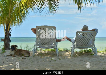 Heureux couple de personnes âgées se reposant dans des chaises longues au Tropical Beach Banque D'Images