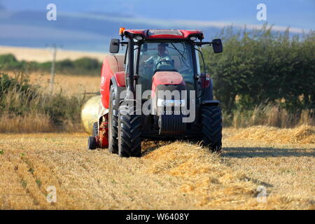 Un compacteur de paille moderne la collecte de la paille et la roulant dans d'énormes balles prêt à être stocké pour l'hiver en rouleaux d'alimentation. Banque D'Images