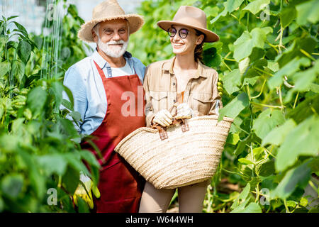 Portrait of a young woman standing grand-père sur une ferme agricole avec le concombre plantation. Concept d'une petite famille agribusine Banque D'Images