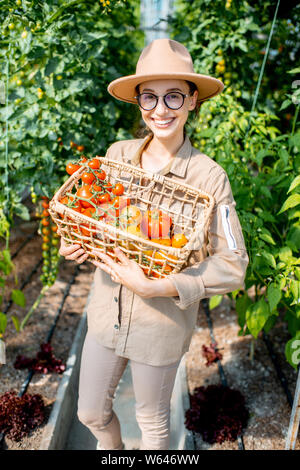 Portrait d'une jeune femme avec un panier plein de tomates fraîchement cueillie, la récolte dans la serre d'une petite ferme agricole Banque D'Images