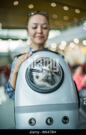 Young woman holding pet travel sac à dos de l'opérateur avec l'intérieur à l'aéroport de chat siamois Banque D'Images