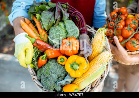 La tenue des paniers pleins de différents légumes fraîchement cueillis dans le contexte compétitif d'une exploitation agricole. Concept de saine alimentation et de moisson Banque D'Images