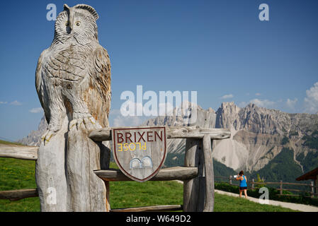 Hibou en bois sculpté en haut de la montagne Plose à Brixen, dans le Nord de l'Italie. Banque D'Images