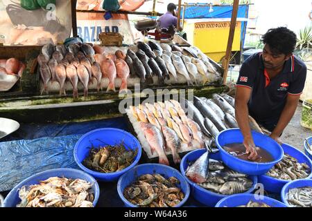 Marché aux poissons. La vente du poisson par les filets de pêche chinois sur les rives de fort Kochi, Kerala, Inde Banque D'Images