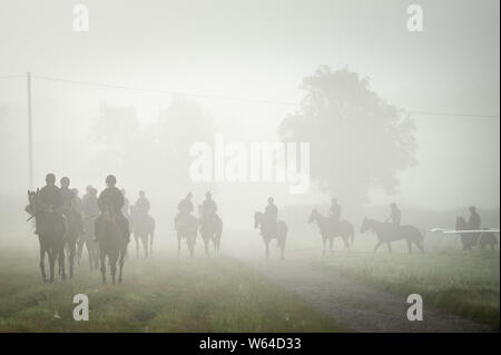 Beckhampton Stables, près de Marlborough, Wiltshire, Royaume-Uni. 29 juillet 2019. La brume et un soleil voilé salue le début de matinée séance de formation pour les cavaliers et de la race Banque D'Images