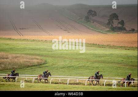 Beckhampton Stables, près de Marlborough, Wiltshire, Royaume-Uni. 29 juillet 2019. La brume et un soleil voilé salue le début de matinée séance de formation pour les cavaliers et de la race Banque D'Images