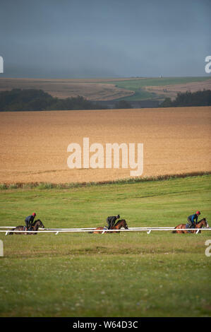 Beckhampton Stables, près de Marlborough, Wiltshire, Royaume-Uni. 29 juillet 2019. La brume et un soleil voilé salue le début de matinée séance de formation pour les cavaliers et de la race Banque D'Images