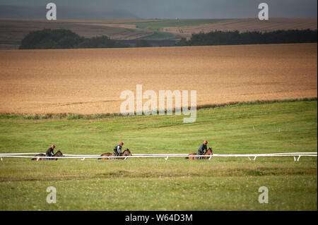 Beckhampton Stables, près de Marlborough, Wiltshire, Royaume-Uni. 29 juillet 2019. La brume et un soleil voilé salue le début de matinée séance de formation pour les cavaliers et de la race Banque D'Images