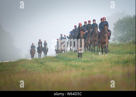 Beckhampton Stables, près de Marlborough, Wiltshire, Royaume-Uni. 29 juillet 2019. La brume et un soleil voilé salue le début de matinée séance de formation pour les cavaliers et de la race Banque D'Images