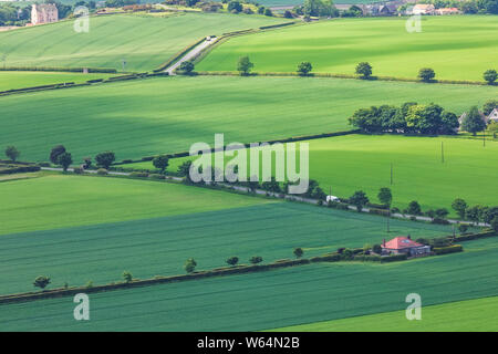Vue sur les champs avec écossais vert le blé et l'orge du top North Berwick Law. North Berwick. East Lothian. L'Écosse, Royaume-Uni. Photo aérienne Banque D'Images