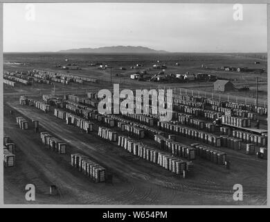 Eloy, comté de Pinal, Arizona. Périphérie d'Eloy vu à partir de l'eau tour de genièvre de coton. Coton montre yar . . . ; Portée et contenu : la légende complète se lit comme suit : Eloy, comté de Pinal, Arizona. Périphérie d'Eloy vu à partir de l'eau tour de genièvre de coton. Cour, et coton montre pickers' camp de squatters au-delà. Pas d'assainissement, pas d'eau. Banque D'Images