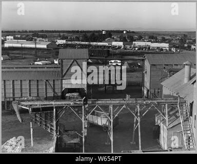 Eloy, comté de Pinal, Arizona. Regardant vers le bas à partir de l'eau tour de cotton gin, montre ginyard, ramassage de coton . . . ; Portée et contenu : la légende complète se lit comme suit : Eloy, comté de Pinal, Arizona. Regardant vers le bas à partir de l'eau tour de cotton gin, montre ginyard, cueilleurs de coton' camp de squatters, laitue, railroad, et une partie de la rue principale. Le camp n'a pratiquement aucune provision pour l'assainissement et l'eau est possible seulement à partir d'un seul robinet à la gin. Banque D'Images