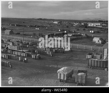 Eloy, comté de Pinal, Arizona. De Cour, les cueilleurs de coton' camp de squatters, laitue, remise, et la rue principale de . . . ; Portée et contenu : la légende complète se lit comme suit : Eloy, comté de Pinal, Arizona. De Cour, les cueilleurs de coton' camp de squatters, laitue, remise, et la rue principale de l'ouest de la ville de coton. Vue du château d'eau de gin. Banque D'Images