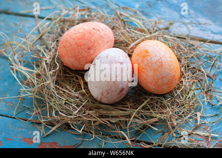 Belle couleur multi Pâques oeuf dans la paille sur fond de bois, concept de Pâques Banque D'Images
