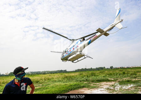 Shanghai, Chine. 31 juillet, 2019. Shandong, Chine-pendant des jours, les ressources naturelles bureau de Shanghai city dans la province de Shandong a profité de la météo ensoleillée.Pour saisir l'occasion de contrôler la deuxième génération d'Américain et les larves de la feuille d'autres ravageurs qui se nourrissent de la foresterie dans les travailleurs.17 333 hectares pulvérisés à propos de feuillus dans la ville pour une semaine en utilisant des avions à basse altitude pour s'assurer que les ressources forestières et la sécurité écologique. Crédit : SIPA Asie/ZUMA/Alamy Fil Live News Banque D'Images