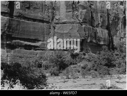 Galeries formées par les fuites d'eau et hors d'échelle de grès. Mur ouest du Temple de Sinawava Canyon au-dessus. Banque D'Images