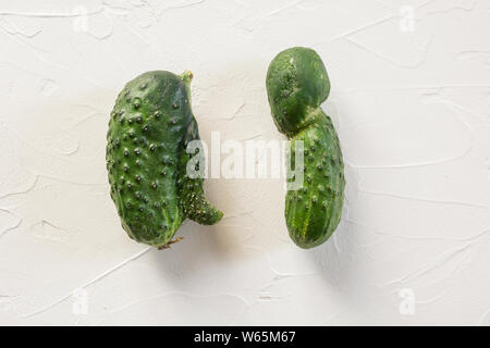 Deux anormal organique laid le concombre. Concept des légumes biologiques. Close up. Banque D'Images