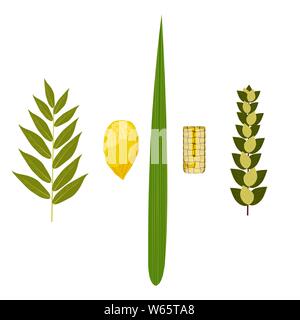 Souccot. Concept de vacances judaïque. Symboles traditionnels - Etrog, Loulav, hadas arava Illustration de Vecteur