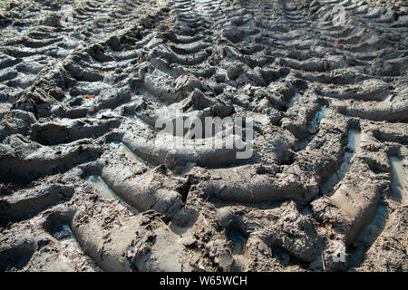 Les chenilles du tracteur, Nordrhein-Westfalen, Germany, Europe Banque D'Images