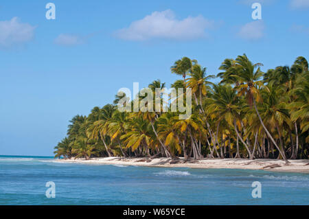 Palm Beach, île de Isla Saona, Parque Nacional del Este, la République dominicaine, Caraïbes, Amérique Latine Banque D'Images