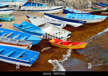 Port, Boca de Yuma, en République Dominicaine, Caraïbes, Amérique Latine Banque D'Images