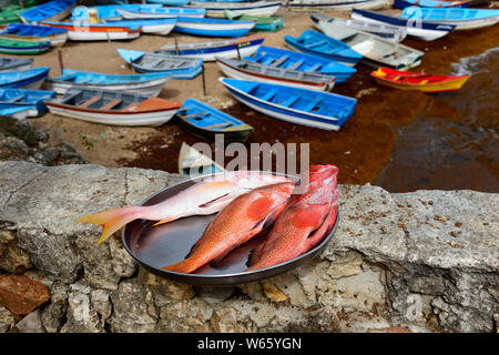 Pour la vente du poisson, Port, Boca de Yuma, en République Dominicaine, Caraïbes, Amérique Latine Banque D'Images