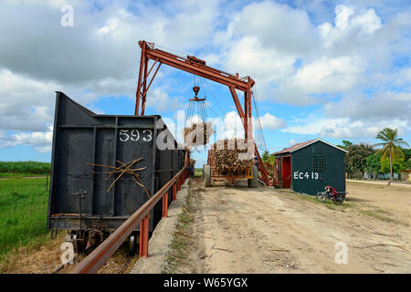 Le tracteur, la canne à sucre chargé sur le transport ferroviaire, récolte de la canne à sucre, près de San Rafael de Yuma, en République Dominicaine, Caraïbes, (Saccharum officinarum) Banque D'Images