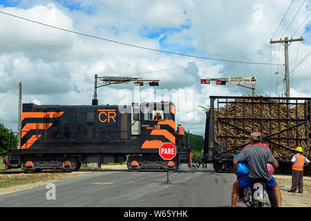 Railroad, la canne à sucre, la récolte de la canne à sucre, près de San Rafael de Yuma, en République Dominicaine, Caraïbes, Amérique latine, (Saccharum officinarum) Banque D'Images