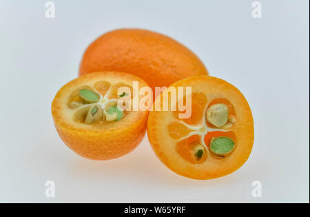 Les kumquats, Fortunella Margarita Banque D'Images