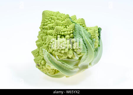 Romanesco, Brassica oleracea convar. botrytis var. botrytis Banque D'Images