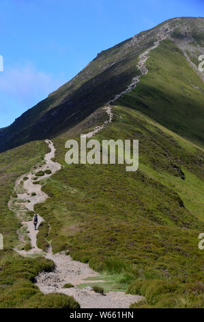 Lone Fellwalker marche sur neige fondue comment le Wainwright 'Grisedale Pike' dans la vallée de l'Coldale dans le Parc National du Lake District, Cumbria, England, UK. Banque D'Images