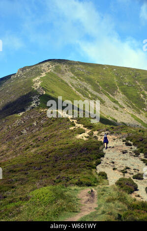 Lone Fellwalker marche sur neige fondue comment le Wainwright 'Grisedale Pike' dans la vallée de l'Coldale dans le Parc National du Lake District, Cumbria, England, UK. Banque D'Images