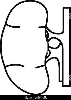 Les droits de l'icône du rein. Contours de rein humain icône vecteur pour la conception web isolé sur fond blanc Illustration de Vecteur