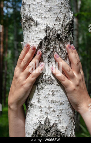 Une fille avec de beaux ongles avec deux mains étreignant un pin dans la forêt. Face n'est pas visible. Le soleil brille. Selective focus sur la main et le bouleau. Banque D'Images