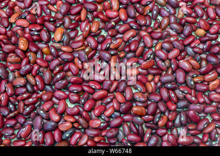 Les haricots rouge texture close up. La nourriture végétalienne saine Banque D'Images