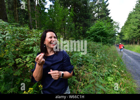 Oberweid, Allemagne. 31 juillet, 2019. Anja Siegesmund (Bündnis90/Die Grünen), Ministre de l'environnement de la Thuringe, nascht framboises sur la voie de la Réserve de biosphère de l'UNESCO la Rhön. C'est l'une des étapes de la tournée d'été du ministre cette année. La visite conduit sur 9 jours et 24 stations le long de la "Grünen" et "Blauer Band' en Thuringe. Crédit : Martin Schutt/dpa-Zentralbild/dpa/Alamy Live News Banque D'Images